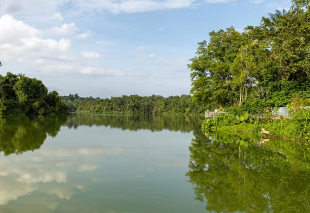 The Mandai Boardwalk