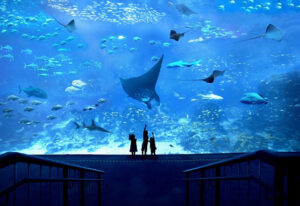 Singapore Oceanarium