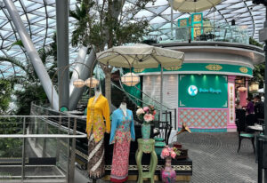 Baba Nyonya